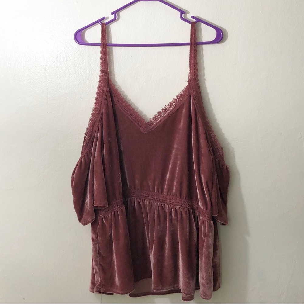 Blush velvet top